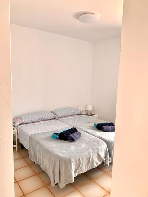 Casa Gato Appartement *