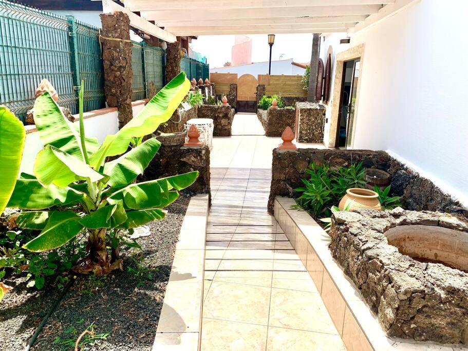 Casa Gato Apartamento Corralejo